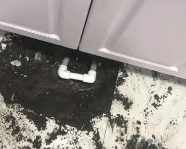 忠县查漏水哪家好